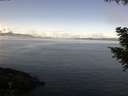 ./images/koeye/fitz-hugh/20200921/fitz-hugh20200921_105501.jpg