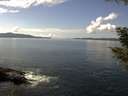 ./images/koeye/fitz-hugh/20200921/fitz-hugh20200921_130502.jpg