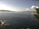 ./images/koeye/fitz-hugh/20200921/fitz-hugh20200921_140501.jpg