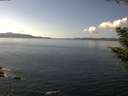 ./images/koeye/fitz-hugh/20200921/fitz-hugh20200921_141501.jpg