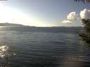 ./images/koeye/fitz-hugh/20200921/fitz-hugh20200921_145001.jpg