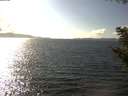 ./images/koeye/fitz-hugh/20200921/fitz-hugh20200921_154002.jpg