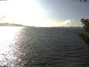 ./images/koeye/fitz-hugh/20200921/fitz-hugh20200921_155002.jpg