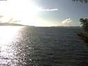 ./images/koeye/fitz-hugh/20200921/fitz-hugh20200921_155502.jpg