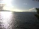 ./images/koeye/fitz-hugh/20200921/fitz-hugh20200921_161502.jpg
