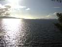 ./images/koeye/fitz-hugh/20200921/fitz-hugh20200921_162502.jpg