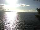 ./images/koeye/fitz-hugh/20200921/fitz-hugh20200921_164501.jpg