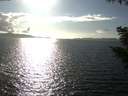 ./images/koeye/fitz-hugh/20200921/fitz-hugh20200921_165001.jpg
