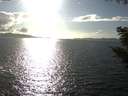 ./images/koeye/fitz-hugh/20200921/fitz-hugh20200921_165501.jpg