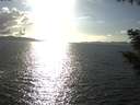./images/koeye/fitz-hugh/20200921/fitz-hugh20200921_170501.jpg