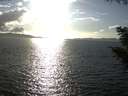 ./images/koeye/fitz-hugh/20200921/fitz-hugh20200921_171001.jpg