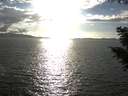 ./images/koeye/fitz-hugh/20200921/fitz-hugh20200921_172501.jpg