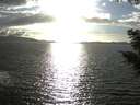./images/koeye/fitz-hugh/20200921/fitz-hugh20200921_173501.jpg