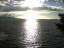 ./images/koeye/fitz-hugh/20200921/fitz-hugh20200921_174001.jpg