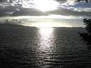 ./images/koeye/fitz-hugh/20200921/fitz-hugh20200921_174501.jpg