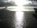 ./images/koeye/fitz-hugh/20200921/fitz-hugh20200921_175001.jpg