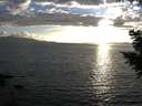 ./images/koeye/fitz-hugh/20200921/fitz-hugh20200921_184002.jpg