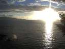 ./images/koeye/fitz-hugh/20200921/fitz-hugh20200921_185002.jpg