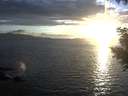 ./images/koeye/fitz-hugh/20200921/fitz-hugh20200921_190502.jpg