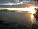 ./images/koeye/fitz-hugh/20200921/fitz-hugh20200921_192002.jpg