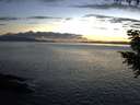 ./images/koeye/fitz-hugh/20200921/fitz-hugh20200921_195501.jpg