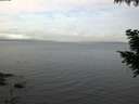 ./images/koeye/fitz-hugh/20200922/fitz-hugh20200922_065002.jpg