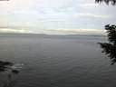 ./images/koeye/fitz-hugh/20200922/fitz-hugh20200922_065502.jpg