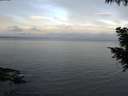 ./images/koeye/fitz-hugh/20200922/fitz-hugh20200922_073501.jpg