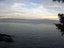 ./images/koeye/fitz-hugh/20200922/fitz-hugh20200922_075501.jpg