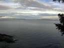 ./images/koeye/fitz-hugh/20200922/fitz-hugh20200922_082001.jpg