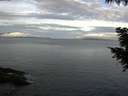 ./images/koeye/fitz-hugh/20200922/fitz-hugh20200922_082501.jpg