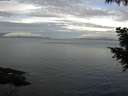 ./images/koeye/fitz-hugh/20200922/fitz-hugh20200922_083501.jpg