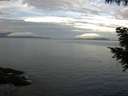 ./images/koeye/fitz-hugh/20200922/fitz-hugh20200922_084001.jpg