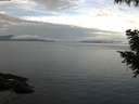 ./images/koeye/fitz-hugh/20200922/fitz-hugh20200922_084501.jpg