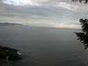 ./images/koeye/fitz-hugh/20200922/fitz-hugh20200922_092501.jpg