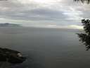 ./images/koeye/fitz-hugh/20200922/fitz-hugh20200922_095502.jpg