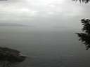 ./images/koeye/fitz-hugh/20200922/fitz-hugh20200922_101502.jpg