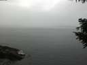./images/koeye/fitz-hugh/20200922/fitz-hugh20200922_102002.jpg