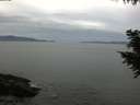./images/koeye/fitz-hugh/20200922/fitz-hugh20200922_104001.jpg