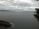./images/koeye/fitz-hugh/20200922/fitz-hugh20200922_111001.jpg