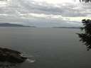 ./images/koeye/fitz-hugh/20200922/fitz-hugh20200922_111501.jpg