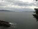 ./images/koeye/fitz-hugh/20200922/fitz-hugh20200922_112001.jpg