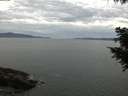 ./images/koeye/fitz-hugh/20200922/fitz-hugh20200922_112501.jpg