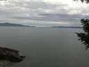 ./images/koeye/fitz-hugh/20200922/fitz-hugh20200922_115001.jpg