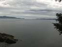 ./images/koeye/fitz-hugh/20200922/fitz-hugh20200922_115501.jpg