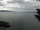 ./images/koeye/fitz-hugh/20200922/fitz-hugh20200922_121501.jpg