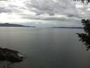 ./images/koeye/fitz-hugh/20200922/fitz-hugh20200922_122501.jpg