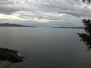 ./images/koeye/fitz-hugh/20200922/fitz-hugh20200922_124001.jpg