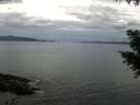 ./images/koeye/fitz-hugh/20200922/fitz-hugh20200922_131002.jpg