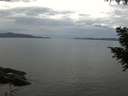 ./images/koeye/fitz-hugh/20200922/fitz-hugh20200922_131502.jpg